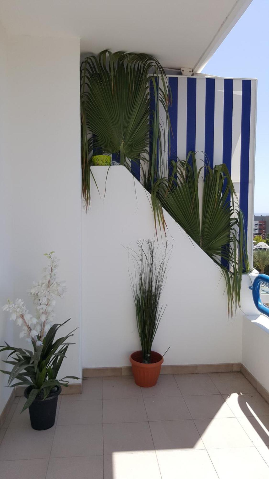 Paraiso Del Sur Playa Paraíso Eksteriør bilde